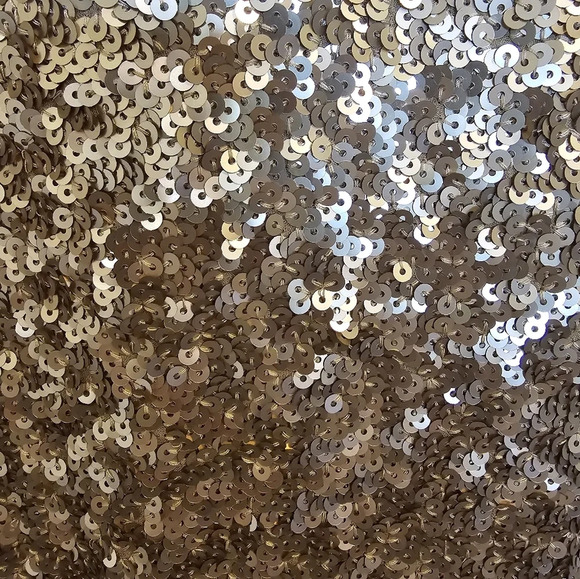 Talbots Woman's NWT GOLD  SS Sequin Silk Lined  Blouse Sz 10P - Picture 4 of 12